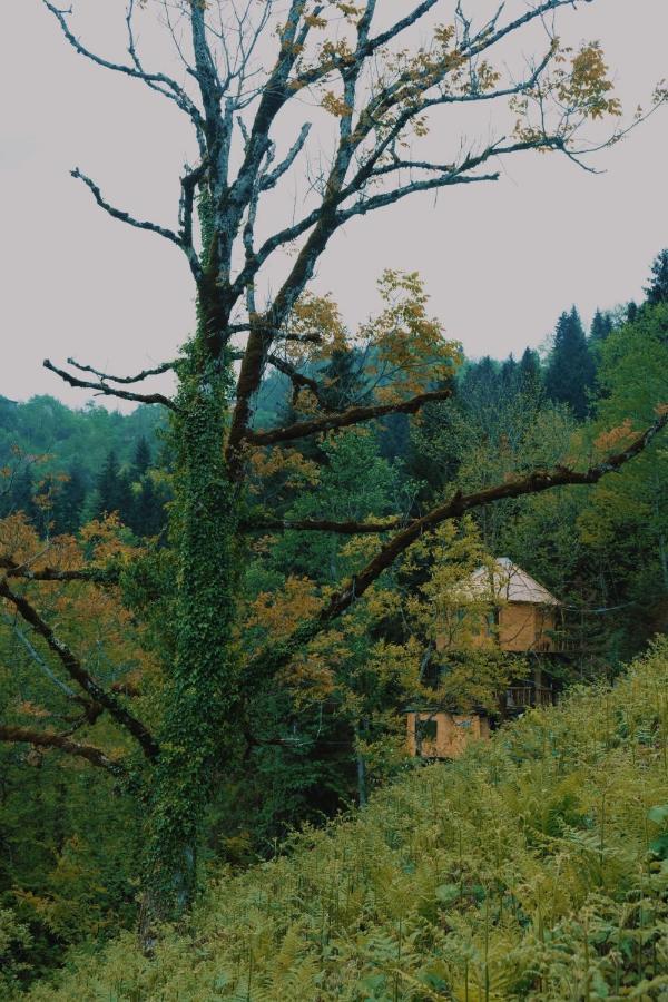 Hill Inn Keda Exterior photo